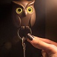 Брелок для ключей Night Owl
