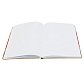 Записная книжка A5 Dziuna Театр в клетку 15,5 x 21 см
